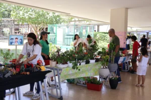 🌿 Vive el Flohmarkt & Kunst 2026 en familia - foto 2